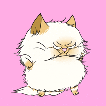 Angry Cat Persian Cat GIF - Angry Cat Persian Cat Prince The Cat GIFs
