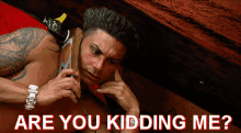 Are You Kidding Me Pauly D GIF - Are You Kidding Me Pauly D Jersey Shore GIFs