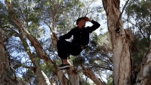 In A Tree The View GIF - In A Tree The View Looking Around GIFs