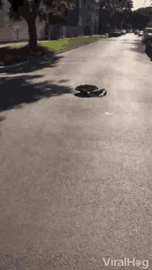 Manhole Sewer GIF