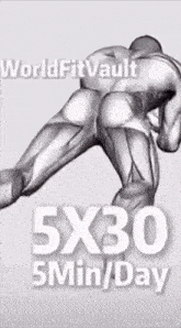 a world fit vault 5x30 5min / day advertisement