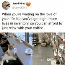 a picture of a cat sitting on a counter next to a picture of a forklift in a warehouse