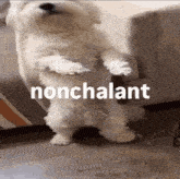 the word nonchalant that is on a picture