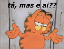 Garfield Tamasedai GIF - Garfield Ok But What GIFs