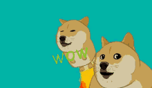 Wow Doge GIF - Wow Doge Fly Doge GIFs