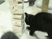 a black and white cat is playing jenga with a stack of blocks
