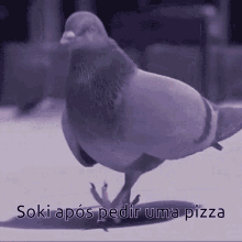 Soki Pizza GIF - Soki Pizza Pomba GIFs