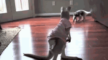 a kangaroo wearing a pink shirt is standing on a wood floor