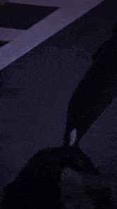 a train is pulling into a station at night with a red stripe on the side