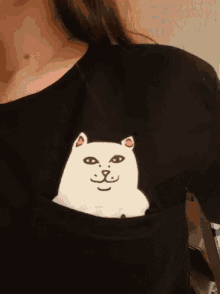Tshirt Cat GIF - Tshirt Cat Fuck GIFs