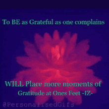 Iz Gratitude GIF - Iz Gratitude GIFs