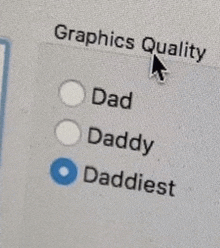 a computer screen shows a list of graphics quality options including dad , daddy , and daddest .
