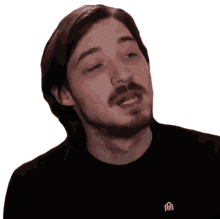 no aaron brown bionicpig nope nuh uh no aaron brown bionicpig nope nuh uh