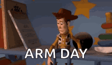Woody Arm GIF - Woody Arm Toy GIFs