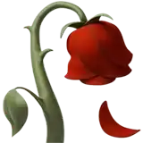 a red rose with a green stem and leaf