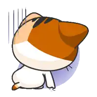 a brown and white cat is sitting on the ground with its head down