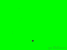 Green Screen GIF - Green Screen GIFs