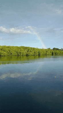 a rainbow is reflected in a lake with trees in the background