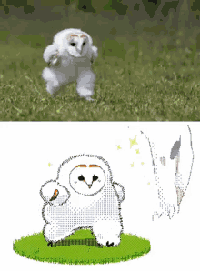 Fluffy Funny GIF - Fluffy Funny Owl GIFs