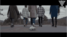 a group of people walking down a road with a white rabbit on the side of the road