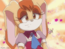 Sonic X Vanilla The Rabbit GIF