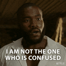 I Am Not The One Who Is Confused Will Mondrich GIF - I Am Not The One Who Is Confused Will Mondrich Bridgerton GIFs