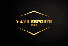 Vayuesports GIF