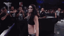 Paige GIF - Wwe Wrestiling Paige GIFs