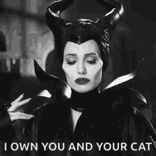 angelina jolie maleficent evil smile own you your cat