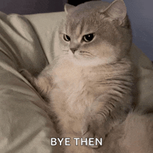 a cat is laying on a bed with the words bye then written below it