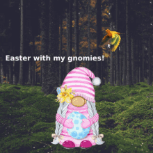 Gnome Memes Cute Gnoes GIF - Gnome Memes Cute Gnoes GIFs