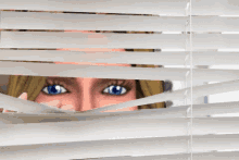 Watching Through The Blinds GIF - Watching Through The Blinds GIFs
