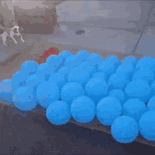 Dog Balloons GIF