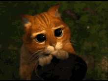 Pussnboots GIF - Eyes Cute Cat GIFs