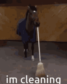 Cleaning Horse GIF - Cleaning Horse Im Cleaning GIFs
