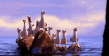 a flock of seagulls standing on rocks in the ocean