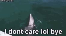 Dont Care Lol GIF - Dont Care Lol No GIFs