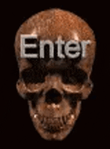 a close up of a skull with the words `` enter '' above it .