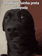 a black dog with the words amanha e fuinha preta viniyoda on the bottom