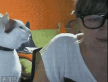 a woman wearing glasses and a white shirt is looking at a cat