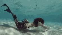 fish woman swimming mermaid