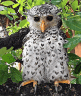 Bubo Nipalensis Owl GIF - Bubo Nipalensis Bubo Owl GIFs