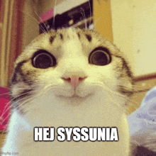 Sysunia GIF - Sysunia GIFs