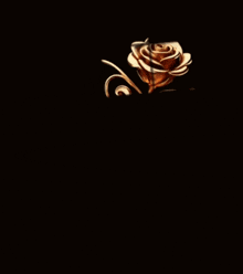 a picture of an infinity symbol with a rose and the words eternity family