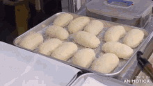 a tray of food with the words made in animotica at the bottom