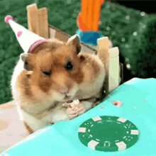 It'S My Birthday Leave Me Alone GIF - Hamster Eat Eating GIFs