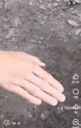 a close up of a person 's hand touching a rocky surface with the hashtag yodalove