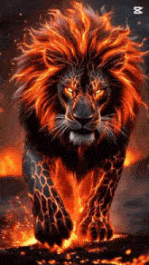 a lion with a fiery mane is walking on a rock with fire coming out of its paws .