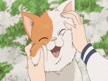 Cat Cute GIF - Cat Cute Anime GIFs