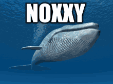 Noxxy Fat GIF - Noxxy Fat Whale GIFs